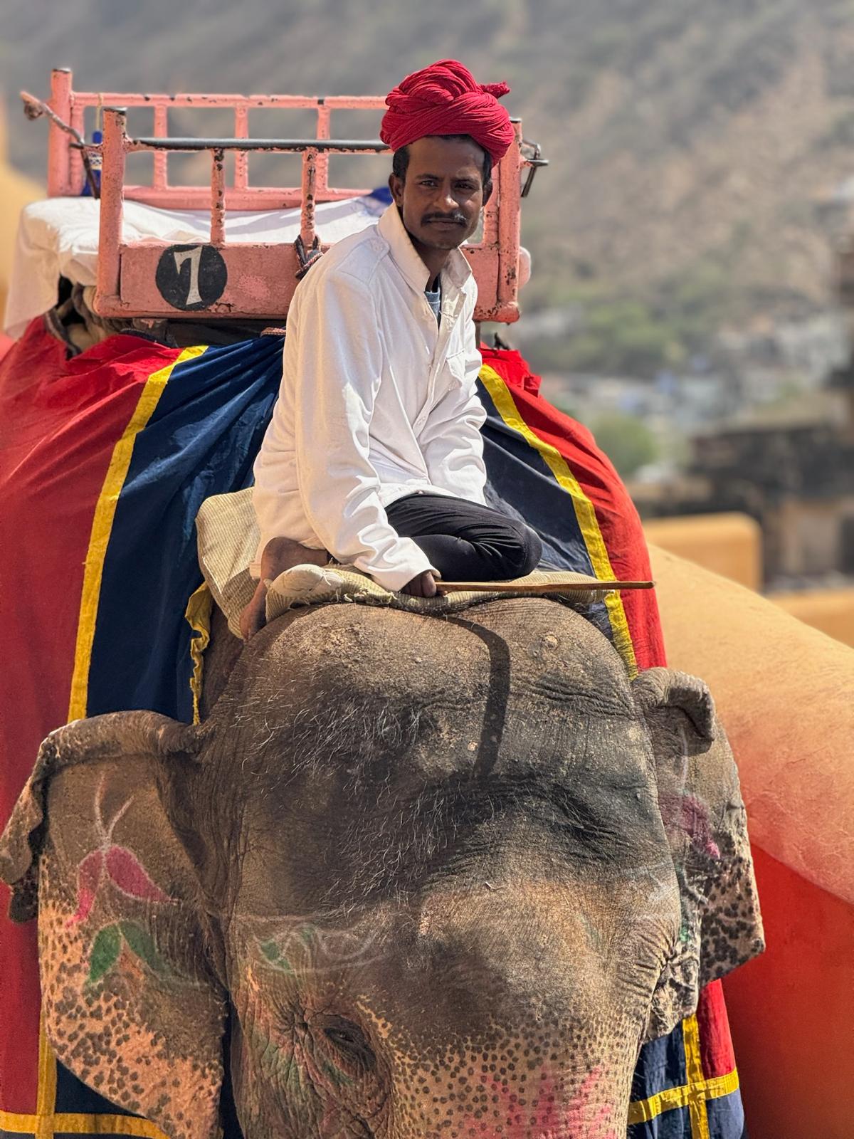 Triangulo de oro con Udaipur 